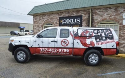 Life Expectancy of a Vehicle Wrap: What You Need To Know