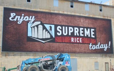 Case Study: Supreme Rice